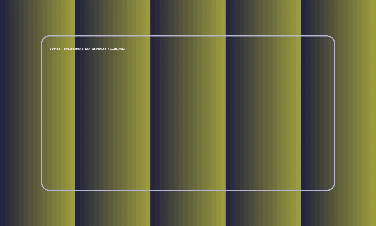 Apercu : LAN securise